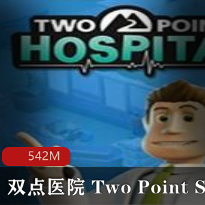 （双点医院）游戏下载安装