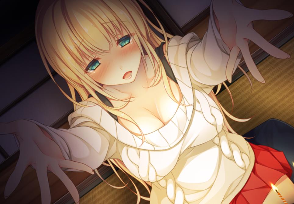 某推宅男最爱攻略游戏PC版