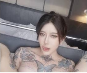 求购火爆网红龙猫夫妇