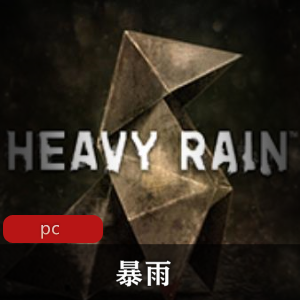 暴雨：中文破解版冒险游戏推荐