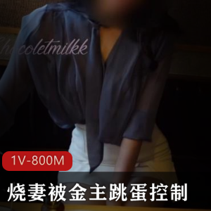 金主控制奇怪玩具逛街吃饭厕所解决