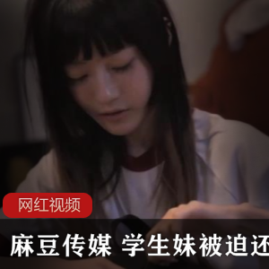 某传媒学生妹作品：还债之路