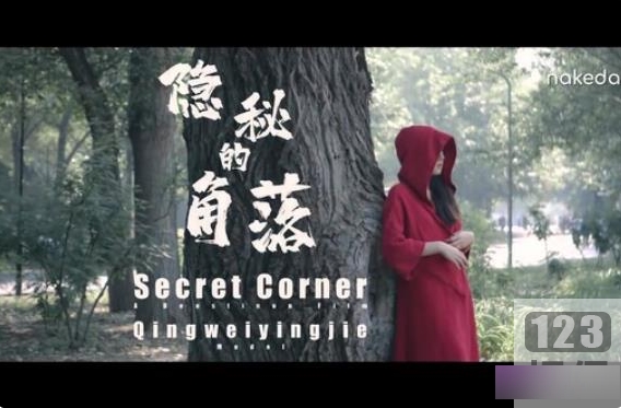 隐秘的角落作品