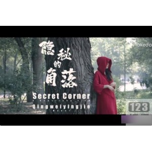 隐秘的角落作品