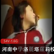 河南中学校服洛麗塔妹子cos54V-1.6G