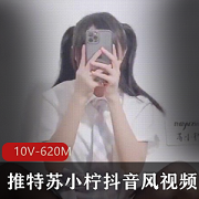 苏小柠抖音风视频作品集，10个视频620MB，BoomShakalaka玩转身材风格YYDS