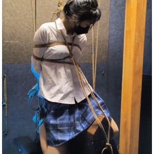 雨辰工作室合集：小众资源百度盘，13个视频26G，不容错过的指教宝藏