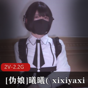 伪娘曦曦xixiyaxixi2022年12月推特作品[2V-2.2G]，女仆装黑丝自娱自乐公园长椅，看法高兴