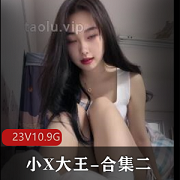 丝足羞R榨J小X大王合集：长视频+短视频，无广告无水印，超级无敌S！