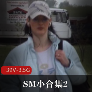 SM小合集2：虐待针扎扎BC打，珍贵资源，3.8G17个视频，SM世界之母