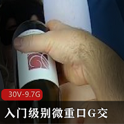P站MsFine重G交微口味洋马小扩大合集二，30部视频总大小9.7G，适合入门级玩家的完美选择