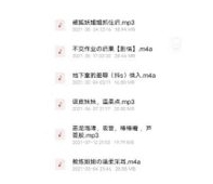 虎牙美女声优主播合集2.07G，B站仙姬AS梦R绝版音频，丰富配音作品