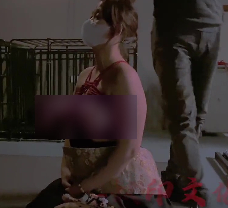 奴印文化推特指教合集51部1.24G火辣