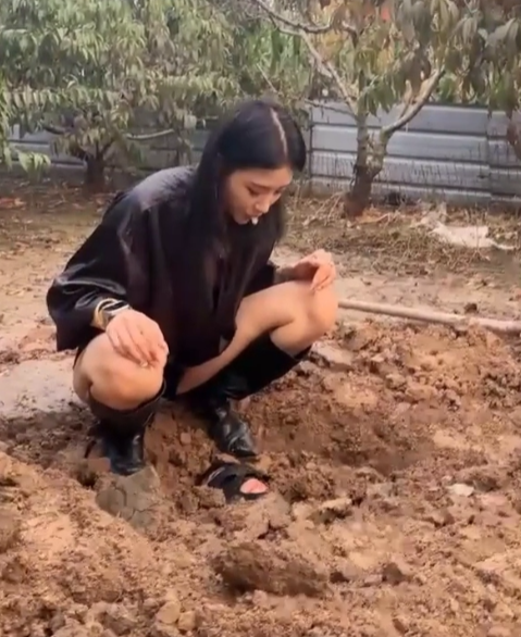 苏御大人玩物直播感觉合集30部22G