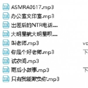 温柔年上jok音声合集百度盘552.34M8条高清音频